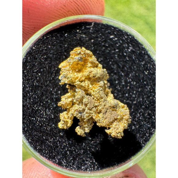 California Native Gold Crystal - 1.46 grams - Picture 5 of 5